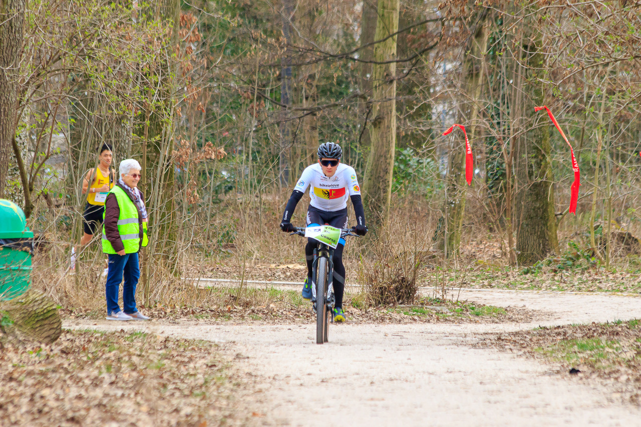 Commissaires